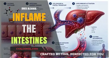 Unveiling the Truth: Alcohol's Impact on Intestinal Health Explored