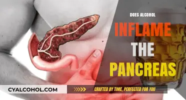 Understanding Alcohol's Impact: Can It Inflame Your Pancreas?