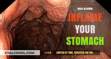 The Surprising Truth About Alcohol and Stomach Inflammation