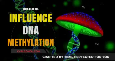 Unraveling the Genetic Impact: Alcohol's Role in DNA Methylation