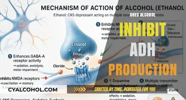 Exploring the Effects of Alcohol on ADH Production: A Scientific Insight