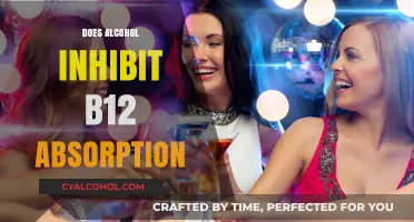 Unraveling the Truth: Alcohol's Impact on Vitamin B12 Absorption