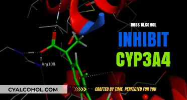 Alcohol and CYP3A4: Understanding the Impact on Drug Metabolism
