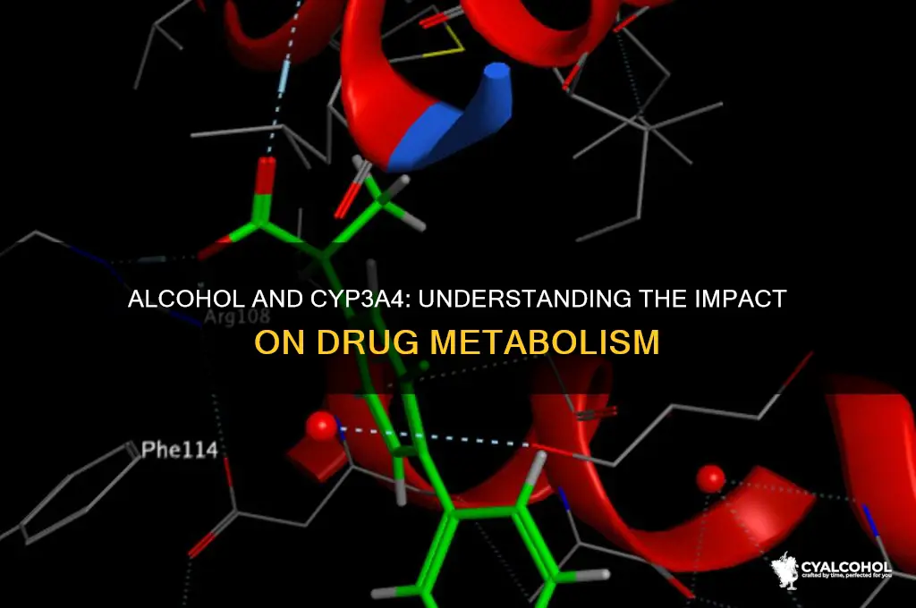 does alcohol inhibit cyp3a4