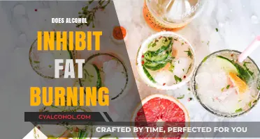 Unveiling the Truth: Alcohol's Impact on Fat Burning Explained