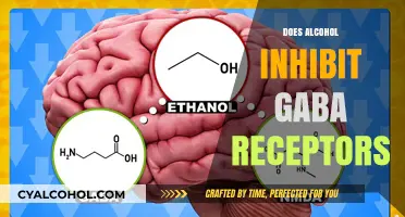 Unveiling the Truth: Alcohol's Impact on GABA Receptors Explained
