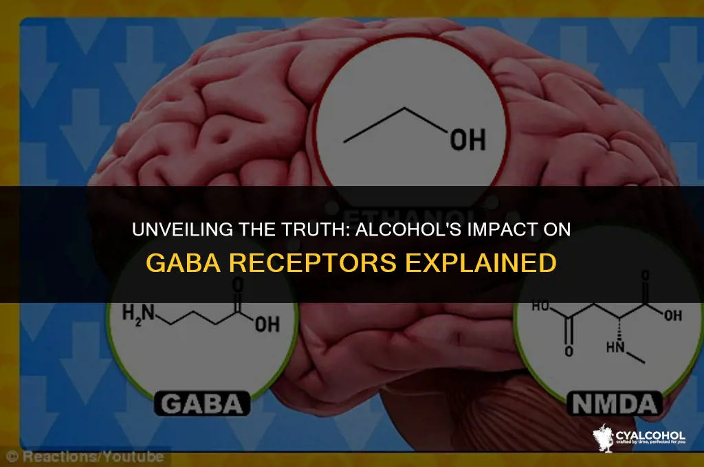does alcohol inhibit gaba receptors