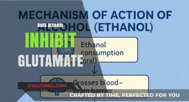 Alcohol's Impact: How It Inhibits Glutamate in the Brain