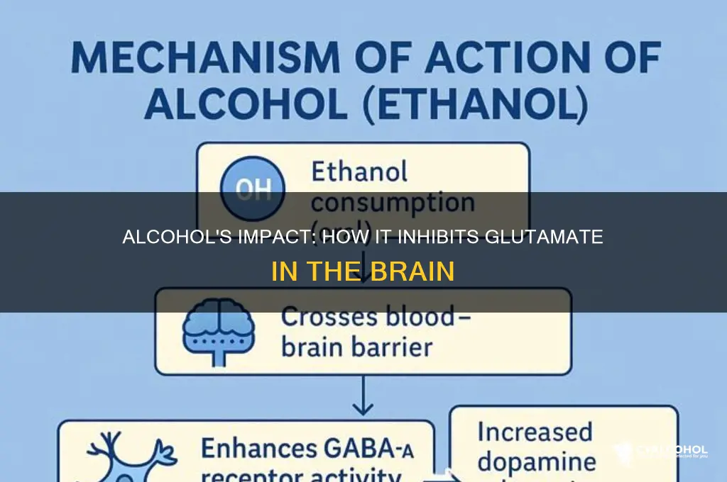 does alcohol inhibit glutamate
