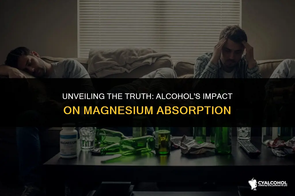 does alcohol inhibit magnesium absorption
