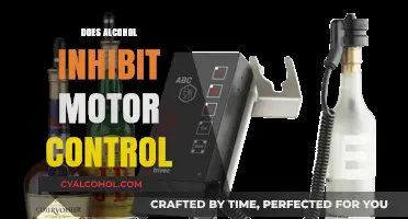 Unveiling the Truth: Alcohol's Impact on Motor Control Explained