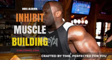 Unveiling the Truth: Alcohol's Impact on Muscle Building Revealed