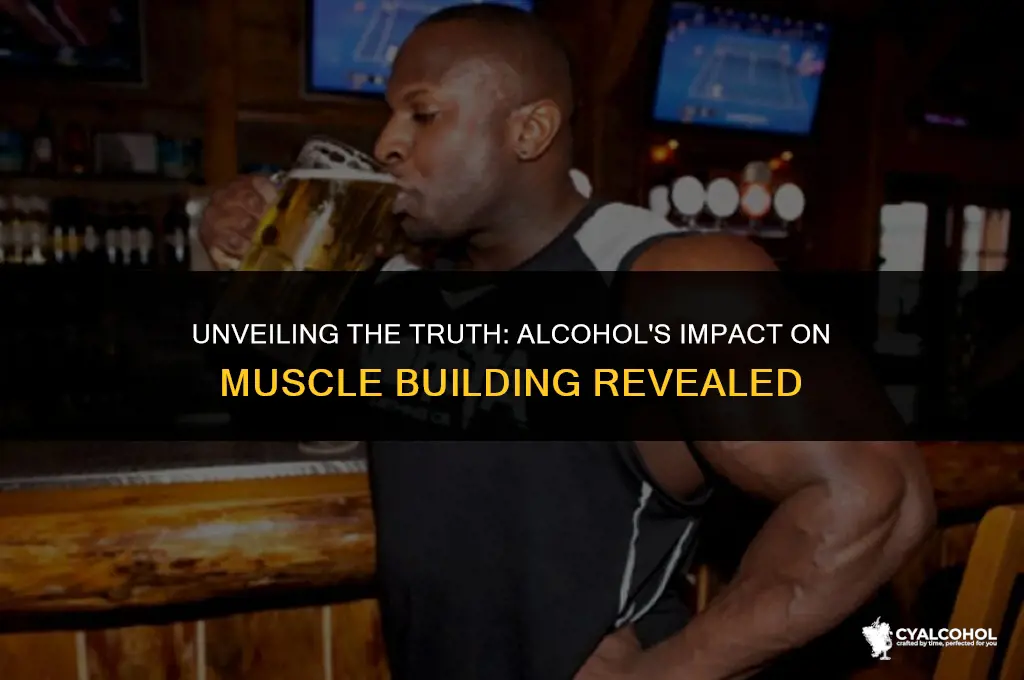 does alcohol inhibit muscle building