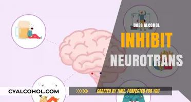 How Alcohol Affects Neurotransmitters: Unraveling the Brain's Chemical Response