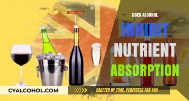 Unraveling the Myth: Alcohol's Impact on Nutrient Absorption Explained