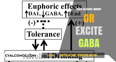 Alcohol's Dual Effect: GABA Inhibition vs. Excitement Explained