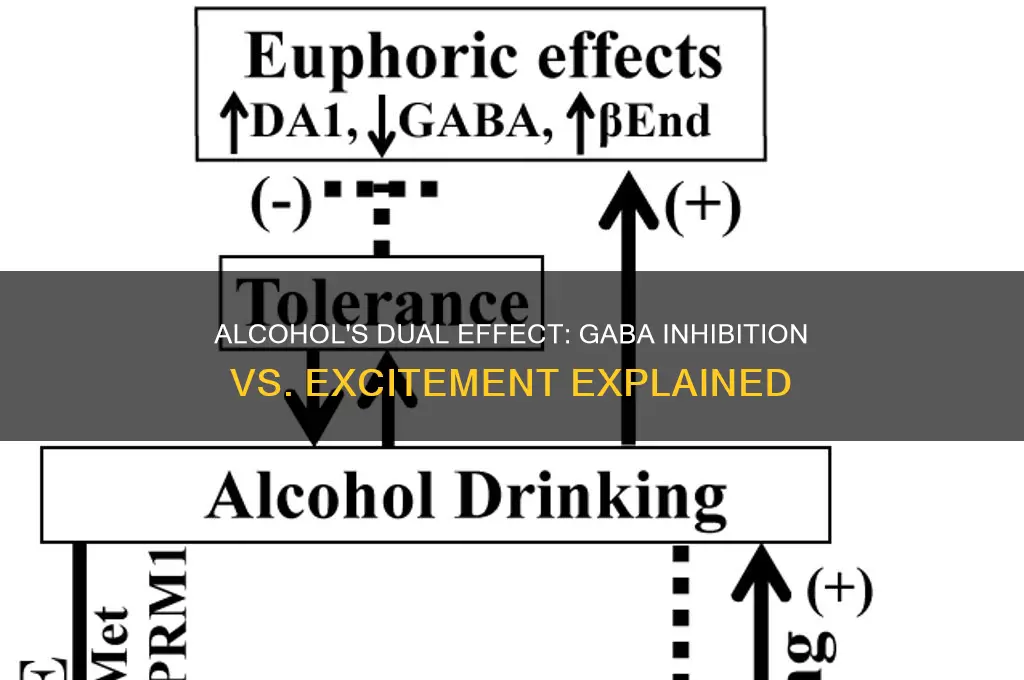 does alcohol inhibit or excite gaba
