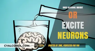 Alcohol's Dual Effect: Inhibiting or Exciting Neurons? Unraveling the Science