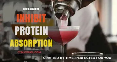 Unraveling the Truth: Alcohol's Impact on Protein Absorption