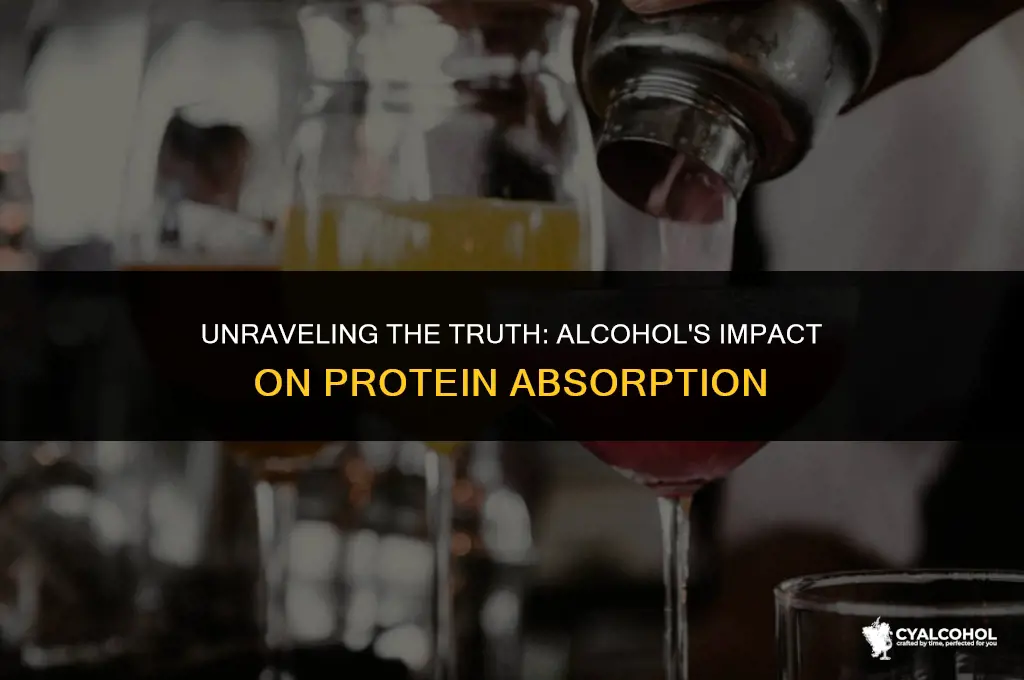 does alcohol inhibit protein absorption
