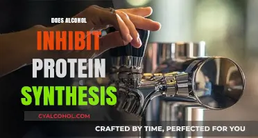 Unraveling the Impact of Alcohol on Protein Synthesis: A Deep Dive