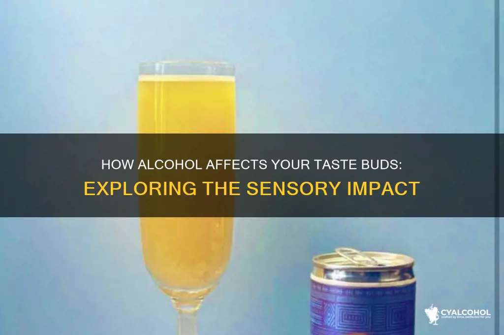 does alcohol inhibit taste