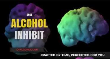 Does Alcohol Inhibit Brain Function, Sleep, or Overall Health?