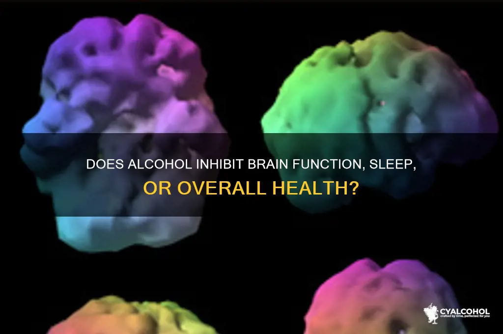 does alcohol inhibit