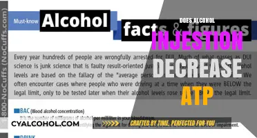 Exploring the Impact of Alcohol on ATP Levels: A Scientific Analysis