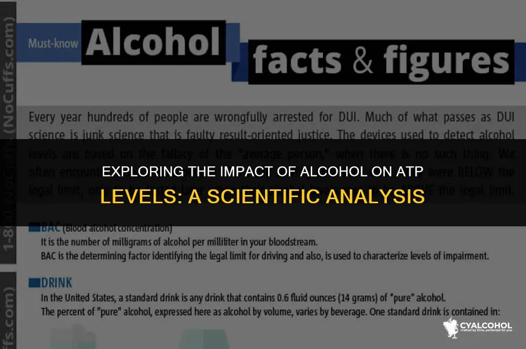 does alcohol injestion decrease atp