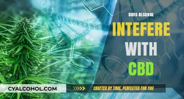 Exploring the Interaction: Does Alcohol Interfere with CBD?