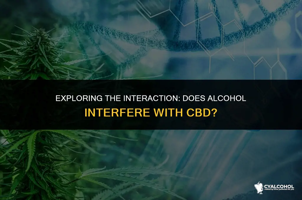 does alcohol intefere with cbd