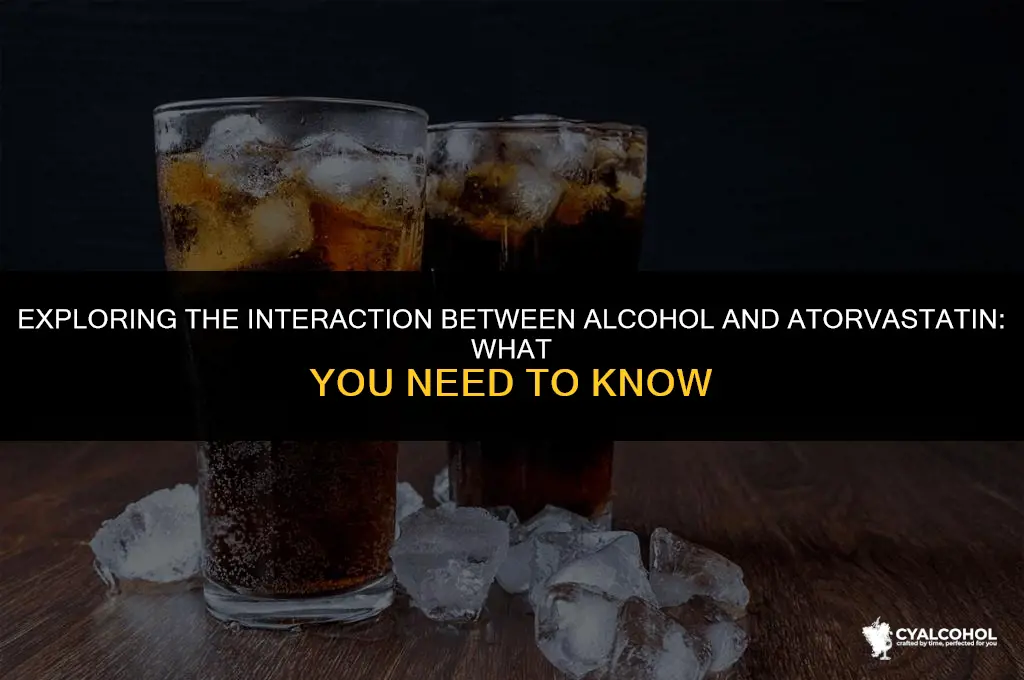 does alcohol interact with atorvastatin