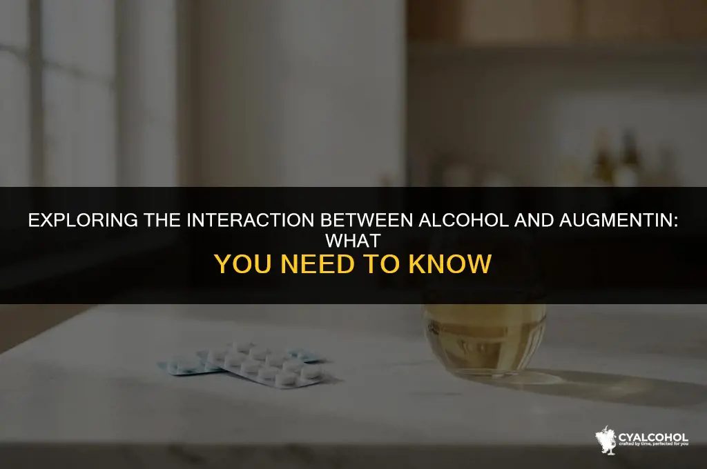 does alcohol interact with augmentin