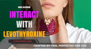Unveiling the Truth: Alcohol's Impact on Levothyroxine Efficacy