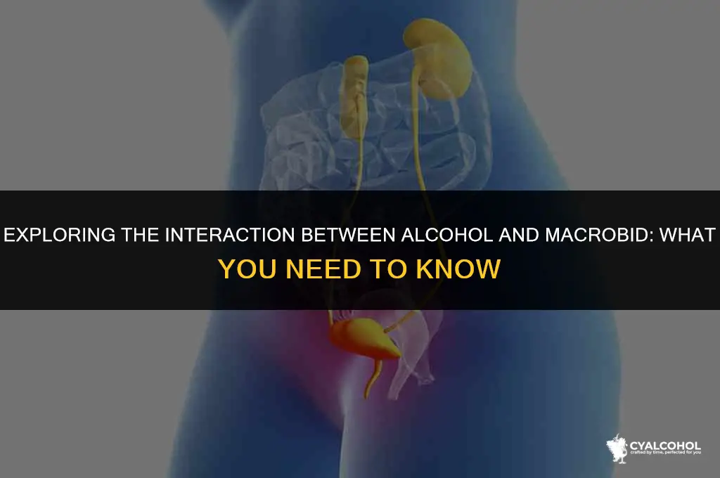 does alcohol interact with macrobid