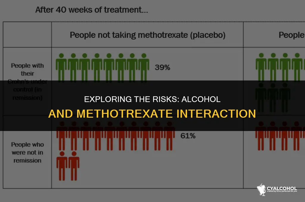 does alcohol interact with methotrexate