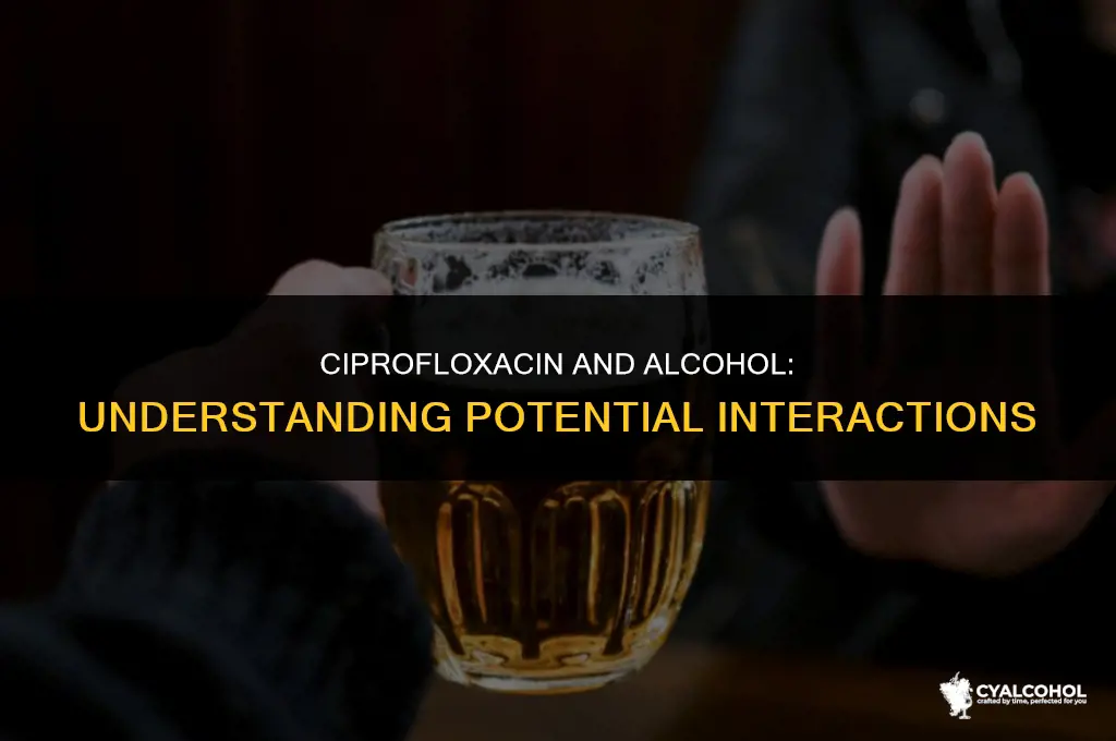does alcohol interact wtih cipro