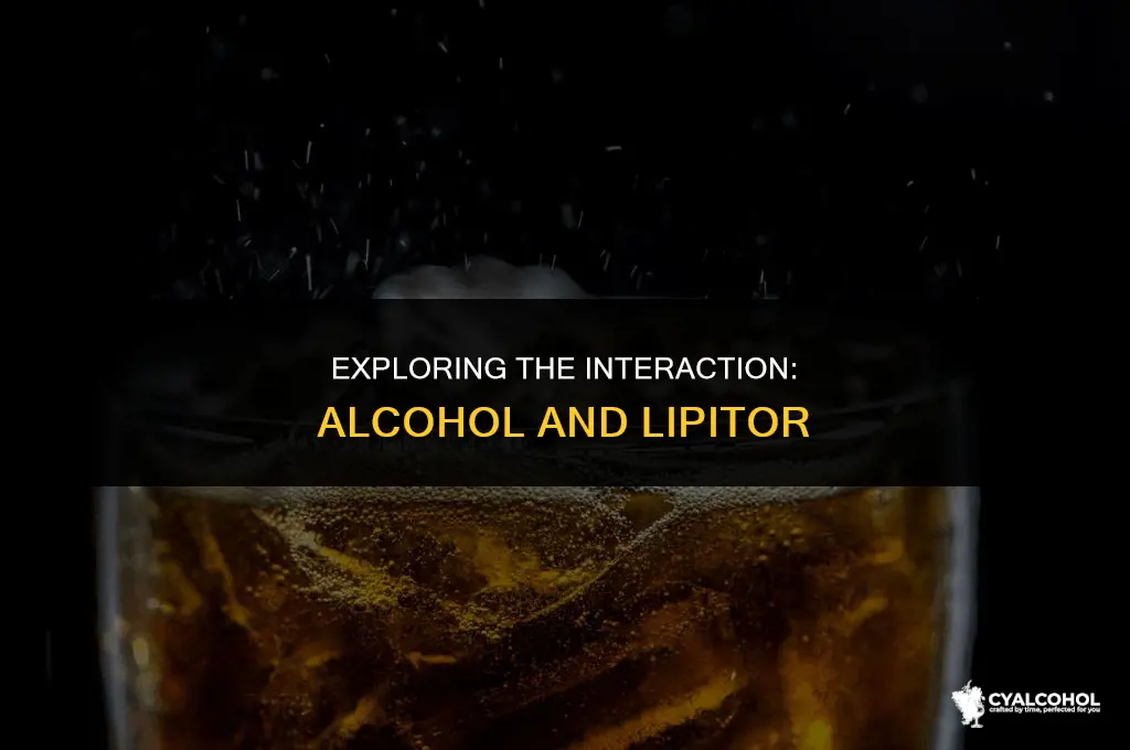 does alcohol interfer with lipitor