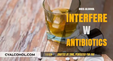 Unveiling the Truth: Alcohol's Impact on Antibiotic Efficacy Explored