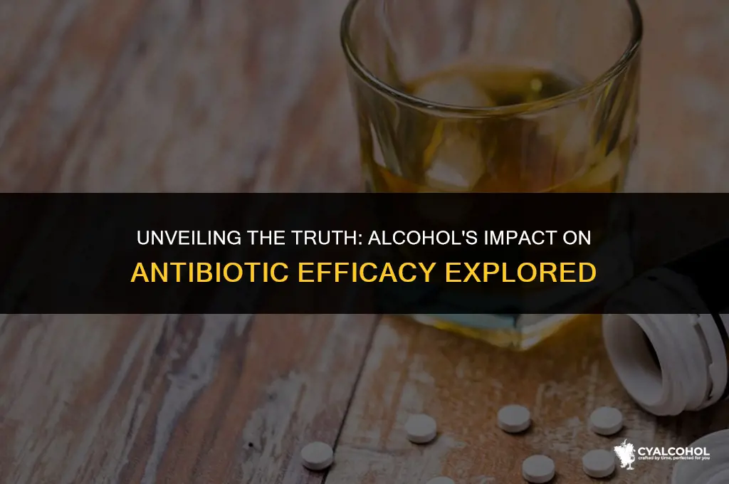 does alcohol interfere w antibiotics