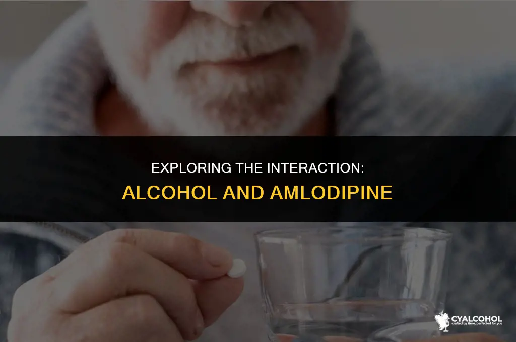 does alcohol interfere with amlodipine
