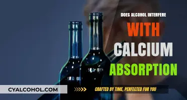 Alcohol's Impact: How Drinking Affects Calcium Absorption and Bone Health