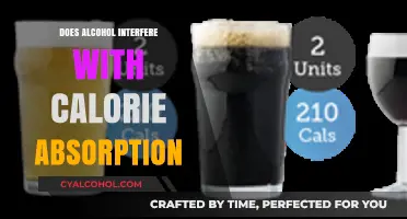 Alcohol's Impact: Does It Disrupt Calorie Absorption and Weight Management?