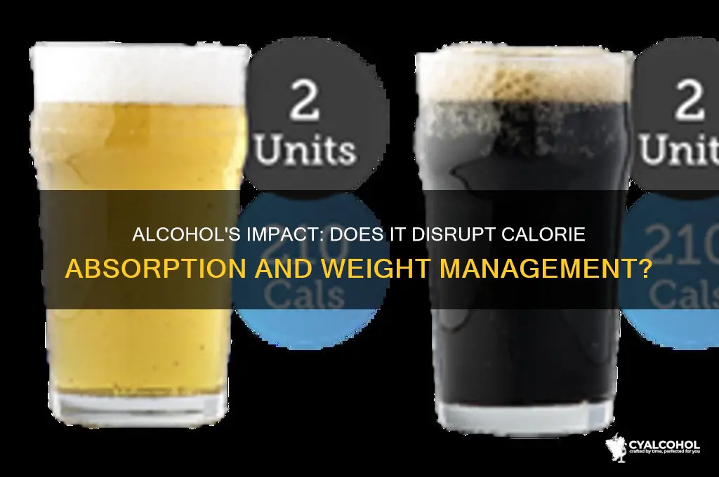 does alcohol interfere with calorie absorption