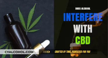Exploring the Interaction: Does Alcohol Interfere with CBD?