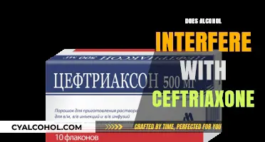 Exploring the Interaction: Alcohol and Ceftriaxone Antibiotic