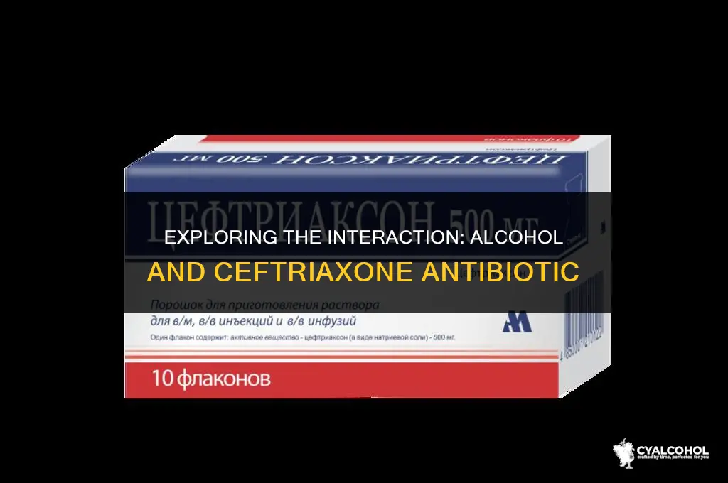 does alcohol interfere with ceftriaxone