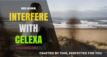 Exploring the Interaction: Alcohol and Celexa - What You Need to Know