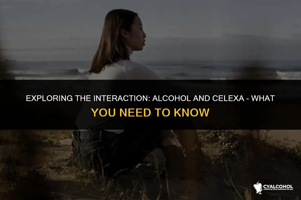 does alcohol interfere with celexa